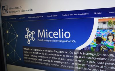 Lanzamiento de Micelio, una plataforma para la investigación