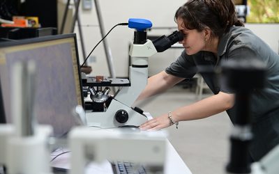 Una apuesta sostenida por la investigación con incidencia social