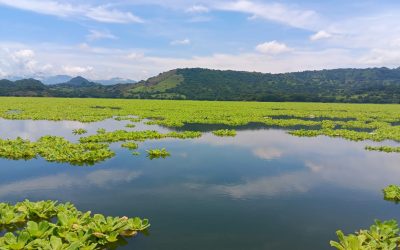 Docentes y estudiantes UCA profundizan sobre la contaminación farmacéutica en el embalse Cerrón Grande